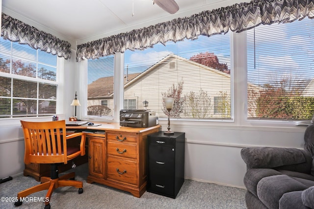 home office with light carpet