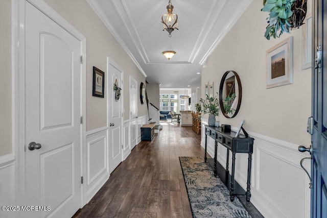 entryway with ornamental molding, a wainscoted wall, dark wood-type flooring, and a decorative wall