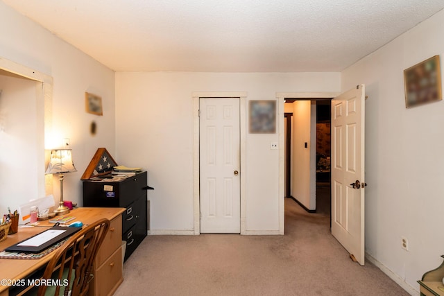 office featuring light carpet, baseboards, and a textured ceiling