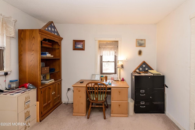 home office with light colored carpet