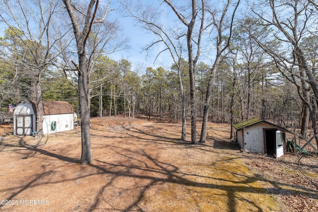 view of yard featuring an outbuilding and a storage unit