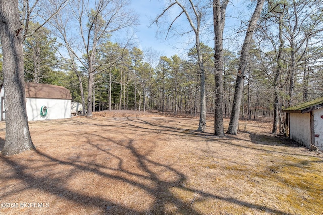 view of yard with an outbuilding and a storage unit