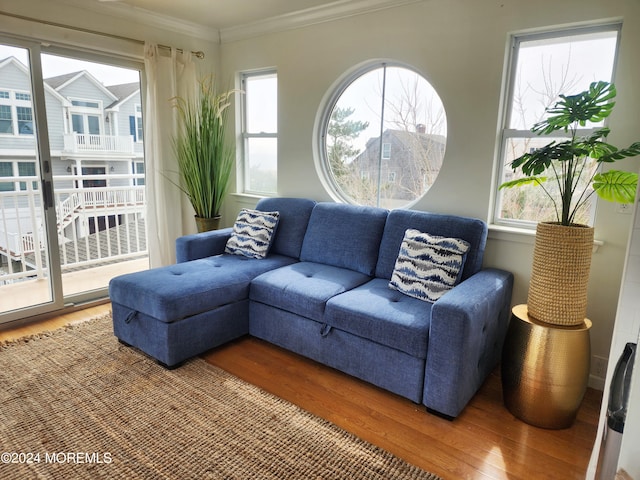 living area with crown molding, wood finished floors, and a healthy amount of sunlight