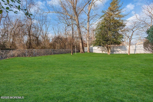 view of yard featuring a fenced backyard