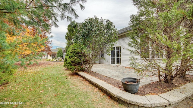 view of yard with a patio