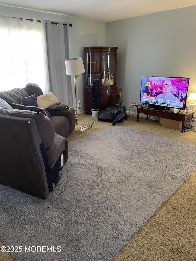 living room featuring carpet floors