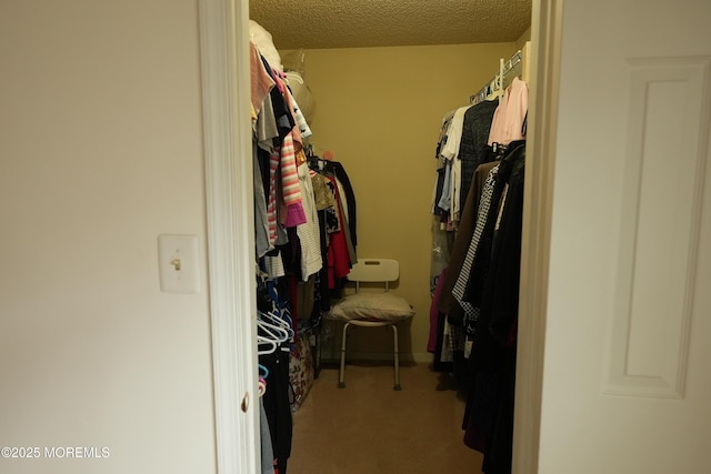 walk in closet with carpet flooring