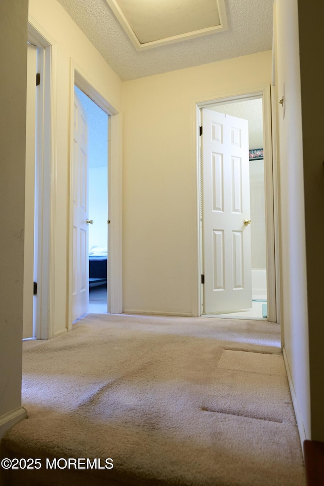 corridor with attic access, a textured ceiling, and carpet flooring