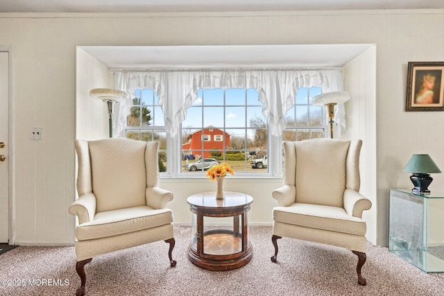 sitting room with carpet flooring