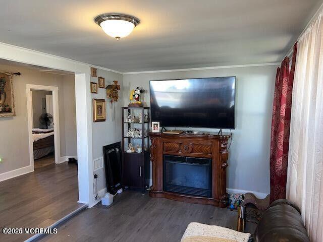 living area featuring a glass covered fireplace, crown molding, baseboards, and wood finished floors