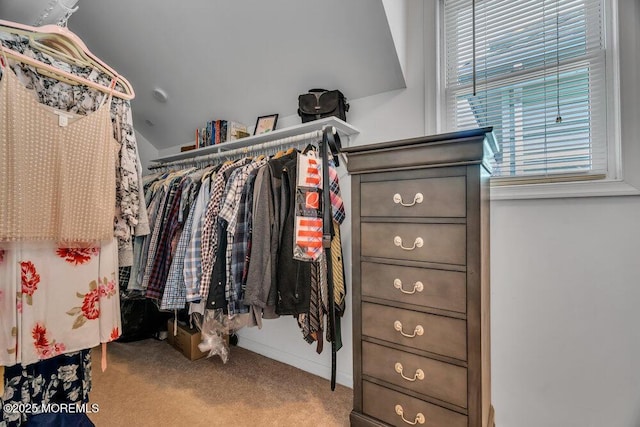 spacious closet featuring carpet