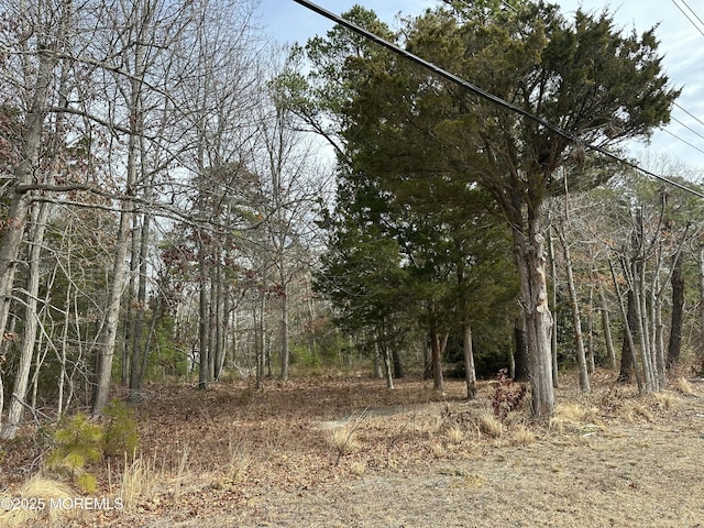 view of landscape