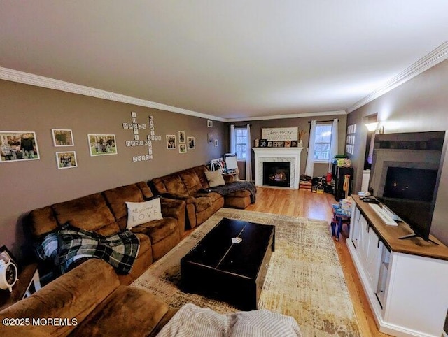 living room with a premium fireplace, ornamental molding, and light wood-style flooring