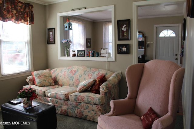 carpeted living area with a healthy amount of sunlight and crown molding