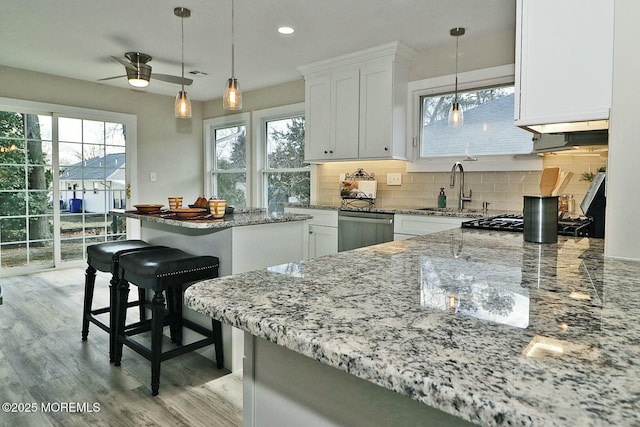 kitchen with tasteful backsplash, light stone counters, light wood-type flooring, stainless steel dishwasher, and a sink