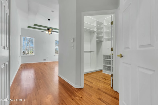 spacious closet featuring visible vents, light wood-type flooring, and a ceiling fan