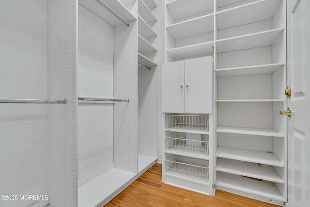 spacious closet featuring wood finished floors