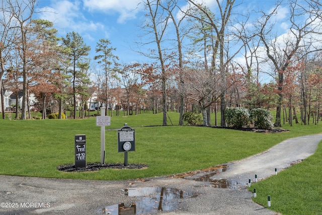 view of home's community with a lawn