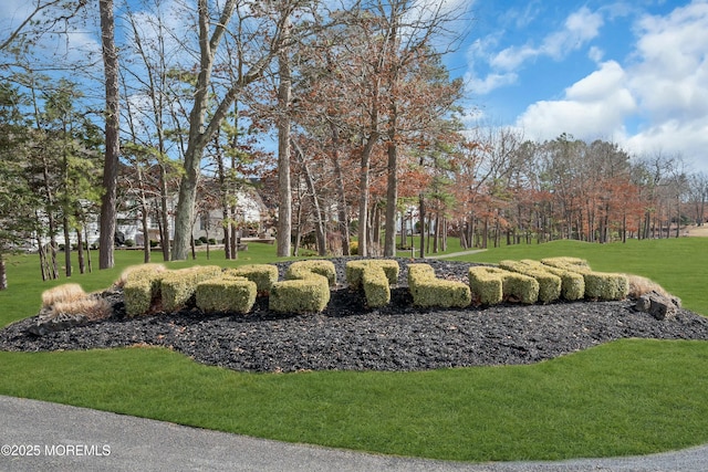 view of home's community featuring a lawn