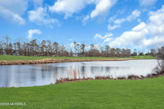 property view of water