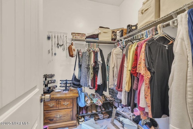 view of spacious closet