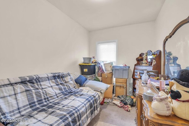 interior space with carpet floors