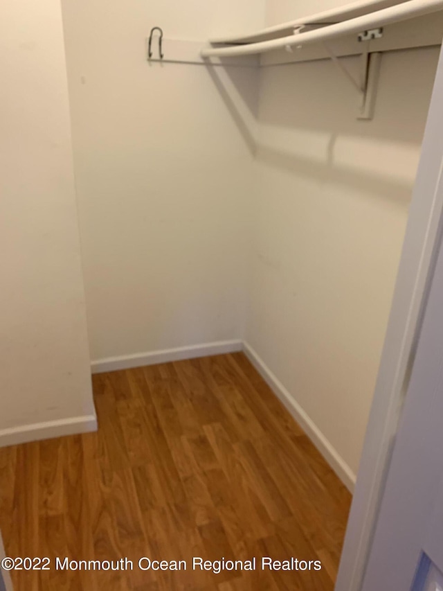 walk in closet featuring light wood-style flooring