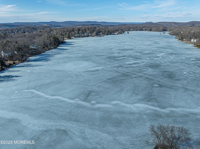 drone / aerial view featuring a mountain view and a view of trees