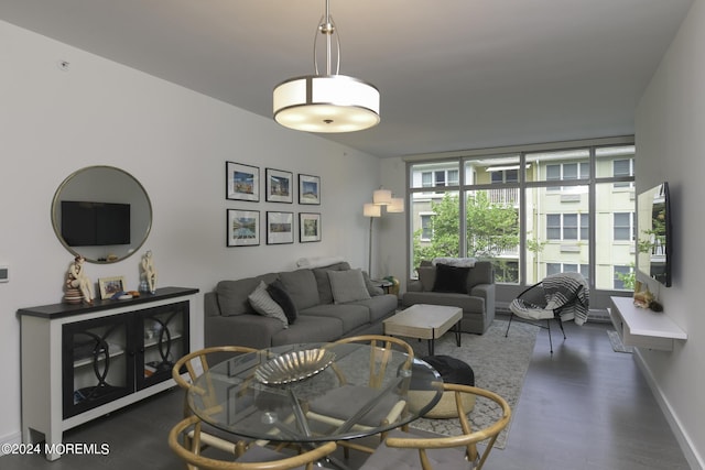 living area featuring baseboards and dark wood-style flooring