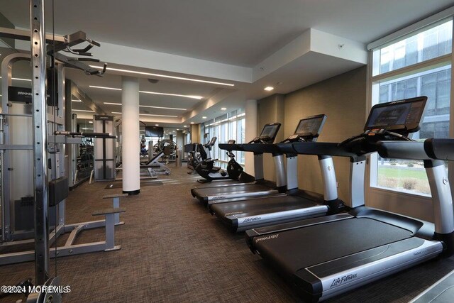 gym with a wealth of natural light and carpet flooring