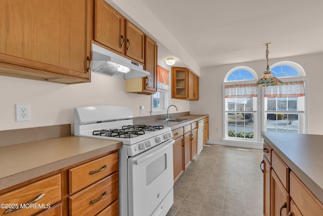 kitchen featuring under cabinet range hood, a sink, white appliances, brown cabinetry, and light countertops