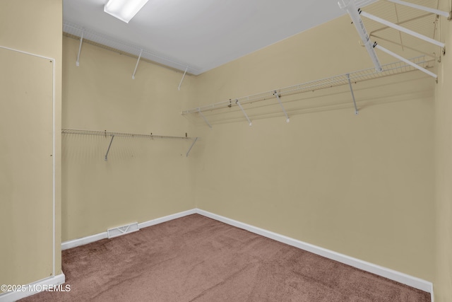 walk in closet with carpet flooring and visible vents