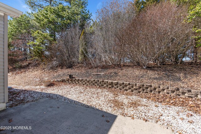 view of yard with a patio