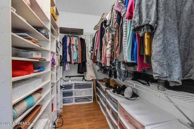 551 Chester Pkwy, Belford, NJ 07718 - spacious closet with wood finished floors