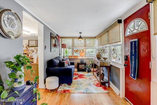 interior space with wood finished floors and crown molding