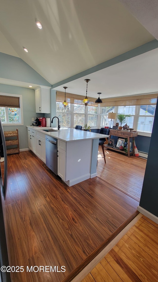 kitchen with a sink, a healthy amount of sunlight, and dishwasher