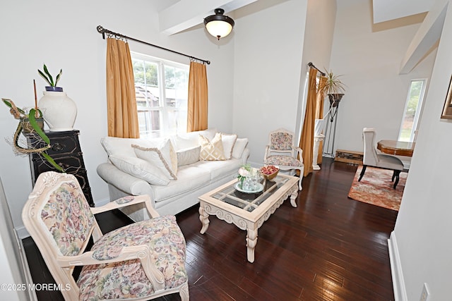 living room featuring hardwood / wood-style flooring