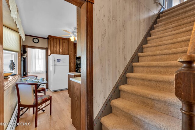 2-4 NE Central Ave, Seaside Park, NJ 08752 - stairway featuring crown molding, wood finished floors, and ceiling fan
