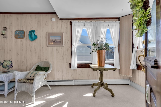 2-4 NE Central Ave, Seaside Park, NJ 08752 - sitting room with carpet