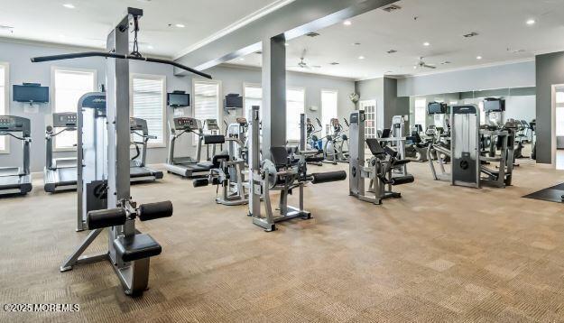 gym featuring ornamental molding, carpet, and a ceiling fan