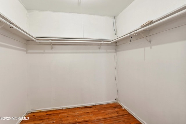 walk in closet with wood finished floors