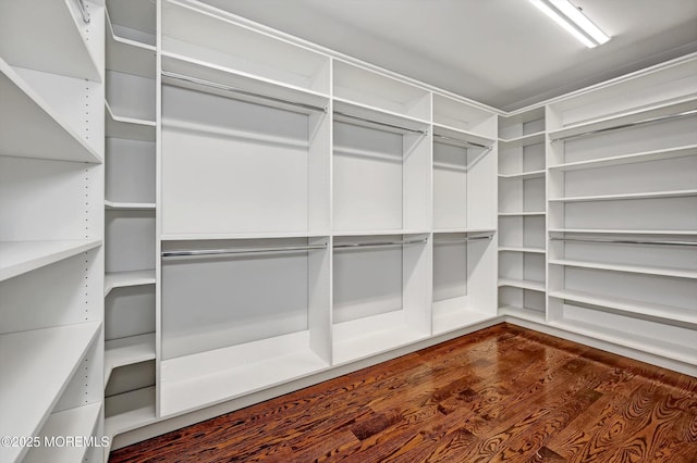 spacious closet with dark wood-style flooring