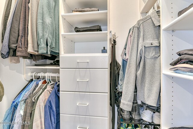 view of spacious closet