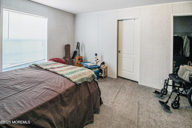 bedroom featuring carpet flooring