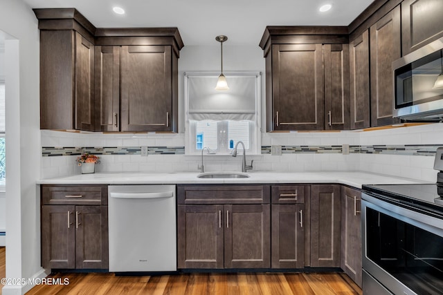 kitchen featuring light wood finished floors, a sink, decorative backsplash, stainless steel appliances, and dark brown cabinets