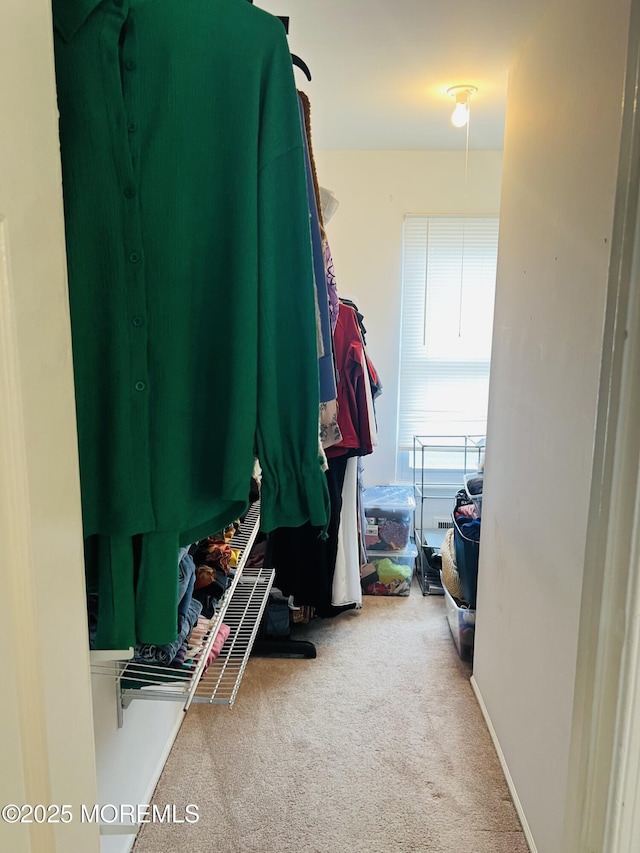 spacious closet with carpet