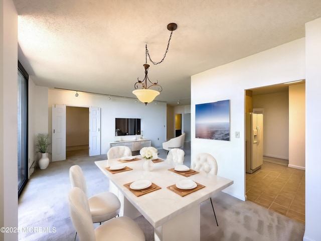 dining area featuring light carpet