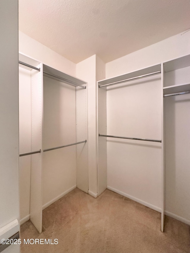 spacious closet with carpet