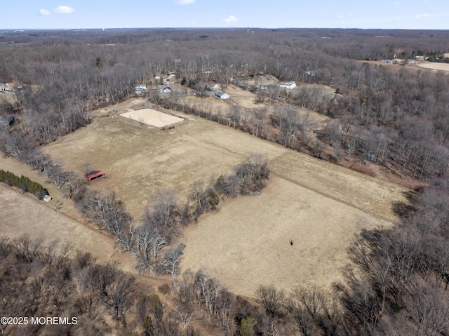 bird's eye view featuring a rural view