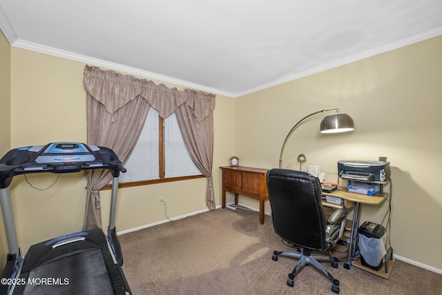 office space featuring carpet, ornamental molding, and baseboards